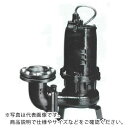 TERADA 汚物用水中ポンプ 3.7kw 全揚程17.0m 60Hz ( TCVS6-637 60HZ ) (株)寺田ポンプ製作所 【メーカー取寄】