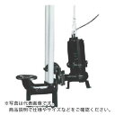 TERADA 汚物用水中ポンプ 3.7kw 全揚程17.0m 50Hz ( TCVS6D-537 50HZ ) (株)寺田ポンプ製作所 【メーカー取寄】