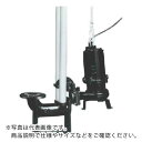 TERADA 汚物用水中ポンプ 1.5kw 全揚程9.0m 60Hz ( TCVS6D-615 60HZ ) (株)寺田ポンプ製作所 【メーカー取寄】