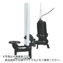 TERADA 汚物用水中ポンプ 2.2kw 全揚程11.0m 60Hz ( TCVS6D-622 60HZ ) (株)寺田ポンプ製作所 【メーカー取寄】