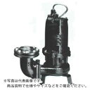 TERADA 汚物用水中ポンプ 3.7kw 全揚程17.0m 50Hz ( TCVS7-537 50HZ ) (株)寺田ポンプ製作所 【メーカー取寄】