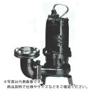 TERADA 汚物用水中ポンプ 3.7kw 全揚程17.0m 60Hz ( TCVS7-637 60HZ ) (株)寺田ポンプ製作所 【メーカー取寄】