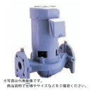TERADA ラインポンプ 0.15kw 60Hz ( LV1-60.15 60HZ ) (株)寺田ポンプ製作所 【メーカー取寄】