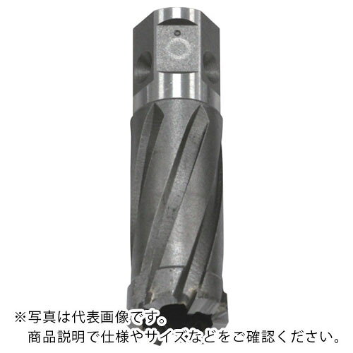 特長：φ20の穴をφ24に拡張できます。仕様：穴径(mm)：φ24元穴径：φ20　●代表画像について 商品によっては、代表画像を使用している場合がございます。 商品のカラー、サイズなどが異なる商品をイメージ画像として 使用させて頂いている場合がございます。 必ず、商品の品番と仕様をご確認のうえ、ご注文お願いいたいます。 　●お買上げ明細書の廃止について 当店では、個人情報保護と環境保護の観点から同封を廃止しております。 お買上げ明細書が必要な場合は、備考欄に「お買上げ明細必要」と 記載お願いいたします。 当店からの出荷の場合は、同封にて発送させて頂きます。 （※メーカー直送の場合は、PDFデータをメールさせて頂きます。） 　注意事項 ※商品名に【2個セット】等、数量の明記がない場合は1個での販売となります。