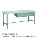 TRUSCO 軽荷重作業台(300kg)AE型 1500X750XH740 2列引出付 グリーン色 ( RAE-1500FL2 (リノリュームテンバン) ) ト...