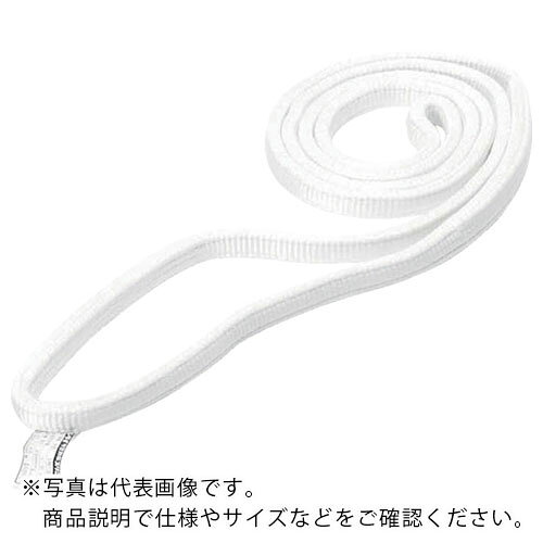 シライ ( 東レインターナショナル ) ベルトスリング ケミカルスリング C1N(JIS1トウキュウ) エンドレス形 100mm幅×長さ1.0m ( C1N-100X1.00 )