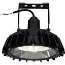 日立 高天井用LEDランプ アームタイプ 特殊環境対応 防湿・防雨形(オイルミスト・粉じん対応) ( WGBME21CMNC1 ) 日立グローバルライフソリューション 【メーカー取寄】