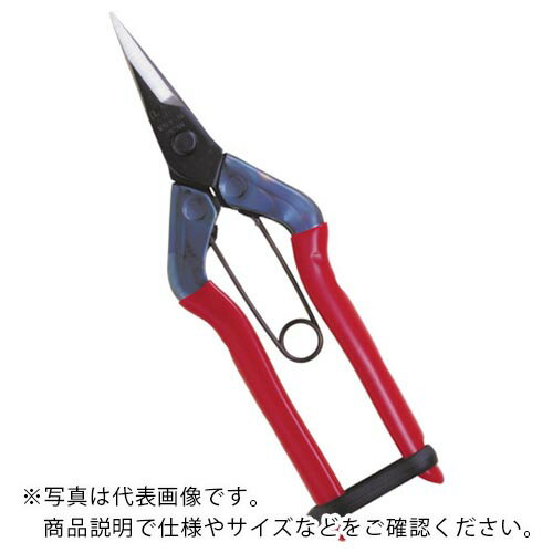 チカマサ ( 近正 ) 摘果鋏 ( T-501 ...の商品画像