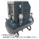 アネスト岩田 オイルフリー小形ブースタコンプレッサ 0.75kW EFBS07B-9.5 ( EFBS07B9.5 ) アネスト岩田(株)(4)
