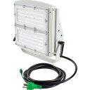 NICHIDO スクエアライト200W 電源装置一体型 昼白色 投光器型 ( LEIS-200D-JW-50K ) 日動工業(株)
