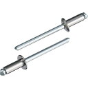 エビ ブラインドリベット(丸頭) ステンレス/スティール製 6−4(1000本入) ( LSS64 ) (株)ロブテックス