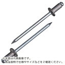 エビ ブラインドリベットエコBOX アルミ/スティール 6−5 (150本入) NSA 65EB ( NSA65EB ) (株)ロブテックス(4)