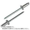 エビ ブラインドリベット・皿頭 アルミ/スティール 5−3 (1000本入) ( NSA53K ) (株)ロブテックス(4)