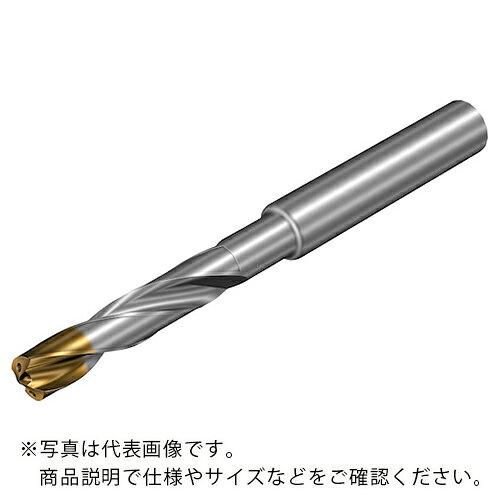 SANDVIK ( サンドビック ) コロドリル860‐GM 超硬ソリッドドリル(720) X1BM ( 860.1-0980-080A1-GM X1BM (720) )