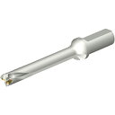 SANDVIK コロドリルDS20刃先交換式ドリル(465) ( DS20-D1800L25-07 (465) ) サンドビック(株)コロマントカンパニー