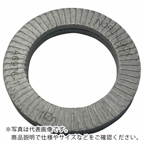 ノルトロック ノルトロックワッシャー デルタプロテクト (100枚入) ( NL16 )