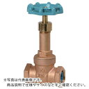 大和バルブ 給水用コアリング付きゲートバルブ 10G-CN 40A ( 10GCN40A ) (株)大和バルブ