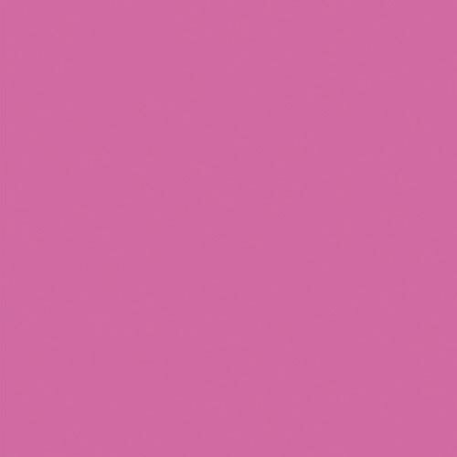 sign city ˥塼顼ܡ ⡼ 5mm A1Ƚ  BP-5CB-A1-MO Х ( 6300023637 ) ()ȥ졼 ڥ᡼