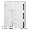 ダイシン パーソナルロッカー6人用 ホワイト色 プッシュ錠タイプ 縦投入孔 L945-11LLP-W ( L94511LLPW ) ダイシン工業（株）