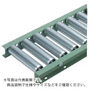 タイヨー TR-K4816T型 ローラー幅900W×P50×機長2000L(フレーム低床型) ( K4816T-900-50-2000 ) 太陽工業(株) 【メーカー取寄】(4)
