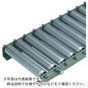 タイヨー TR-B3823L型 ローラー幅900W×P50×機長2000L(Lフレーム) ( B3823L-900-50-2000 ) 太陽工業(株) 【メーカー取寄】(4)