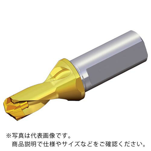 TAEGUTEC 刃先交換式ドリルホルダー ドリルラッシュ ( TCD 170-179-20T3-1.5D ) テグテックジャパン(株)