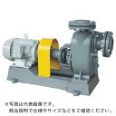 TERADA 陸上ポンプ セルプラポンプ 鋳鉄製メカ式 60Hz 3.7kW モーター付 ( OHW-5ME 60HZ WM ) (株)寺田ポンプ製作所 【メー...