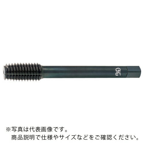 仕様：表面処理：ホモ処理タップ等級：RH級　●代表画像について 商品によっては、代表画像を使用している場合がございます。 商品のカラー、サイズなどが異なる商品をイメージ画像として 使用させて頂いている場合がございます。 必ず、商品の品番と仕様をご確認のうえ、ご注文お願いいたいます。 　●代金引換でのお支払いについて 発送する商品の総重量が20kgを超えてしまったり、 商品の大きさが当店から発送できる規定サイズを超えてしまう場合 メーカー直送での対応となりますので、 代金引換がご利用頂けない場合がございます。 該当する場合、当店から別途メールにてご連絡させて頂いております。 　●北海道・沖縄・離島・一部地域の送料について 別途追加で送料がかかる場合がございます。 送料がかかる場合は、メールにて送料をご連絡させて頂き、 お客様にご了承頂いてからの手配となります。 　●お買上げ明細書の廃止について 当店では、個人情報保護と環境保護の観点から同封を廃止しております。 お買上げ明細書が必要な場合は、備考欄に「お買上げ明細必要」と 記載お願いいたします。 当店からの出荷の場合は、同封にて発送させて頂きます。 （※メーカー直送の場合は、PDFデータをメールさせて頂きます。）