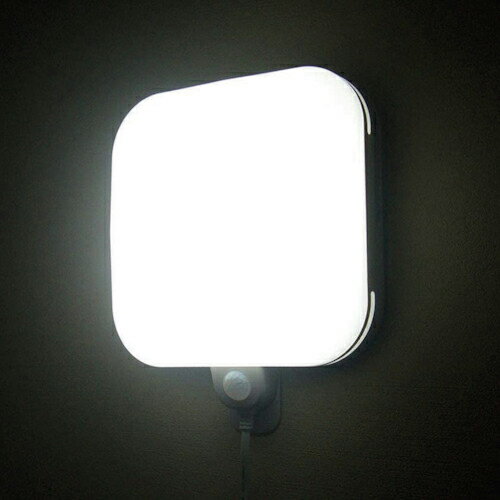 REVEX ( �i�J�o���V ) �J�x�s�J �X�N�G�A SLK900 ( SLK900 (20791) )