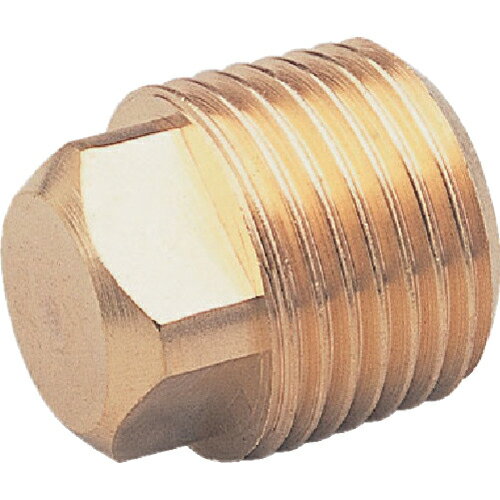 乐天商城 - ASOH ( アソー ) 四角プラグ PT3/4(RoHS) ( NP-1006R )