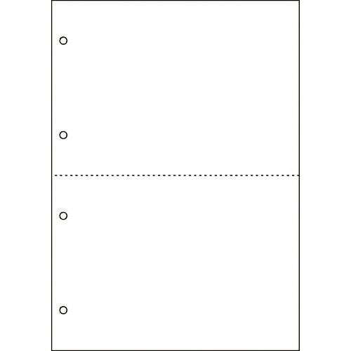 ヒサゴ　FSC（R）認証　マルチプリンタ帳票　A4　白紙　2面　4穴 ( FSC2003W ) ヒサゴ（株）