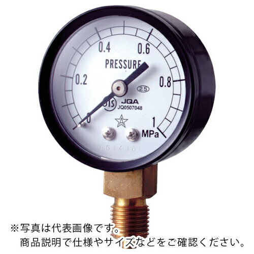 右下　スター　（圧力計）（A枠立型・φ50）　圧力レンジ0．0～0．60MPa S-11-0.6MP ( S110.6MP ) 右下精器製造（株）