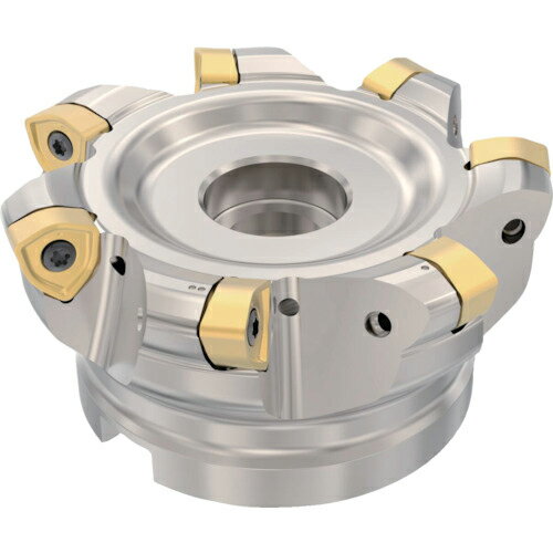 セコ ( セコ・ツール ) フライス 高送りカッタ ハイフィード6 R220.21ーR230 ( R220.21-0100-R230.7A )