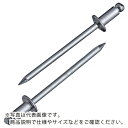 エビ ブラインドリベット(スティール/スティール製) 4−3(300本入) エコBOX NS4-3EB ( NS43EB ) (株)ロブテックス