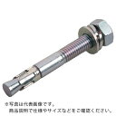 サンコー テクノ トルコンアンカーTCWーDタイプ溶融亜鉛めっき ( TCW-1210D ) 【25本セット】 サンコーテクノ(株)