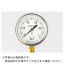 高島 密閉形圧力計(A枠立型・φ60)圧力レンジ0.0~0.6MPa R1/4【】 ( 1112060 ) (株)高島計器(4)