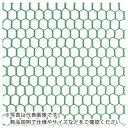 DAIDОHANT ビニール 亀甲金網 線径0.85x目10mm 幅1500mm x 長さ30M巻 ( 10160276 ) (株)ダイドーハント 【メーカー取寄】