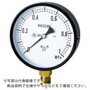 右下 連成計 ( S-31-0.4-0MPA ) 右下精器製造(株) 【メーカー取寄】(4)