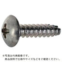 TRUSCO トラス頭タッピングねじ 2種B1 三価白 M5×8 300本入 ヘキサゴンパック S030-0508 ( S0300508 ) トラスコ中山(株)