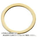 IWATA シムリングCUZN (10枚入)T0.5 ( RB030032050 ) (株)岩田製作所 【メーカー取寄】