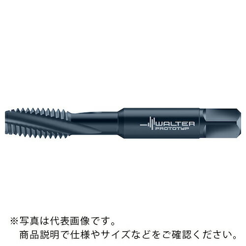 乐天商城 - Prototyp ( ワルタージャパン ) HSS-E マシンタップ ( A2340661S-UNF10 )