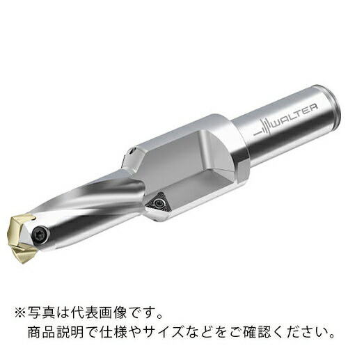 Walter ( ワルター ) チップ交換式ドリル D4240 ( D4240-02-15.00F20-B ) 【メーカー取寄】