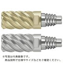 Prototyp 超硬エンドミル ( MD128-12.0E6X200-WJ30RD ) ワルタージャパン(株) ( BETUS )(4)