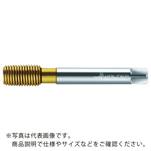 Prototyp ( ワルタージャパン ) HSS-E-PM- 転造タップ ( TC420-M12-L0-WW60AD ) 