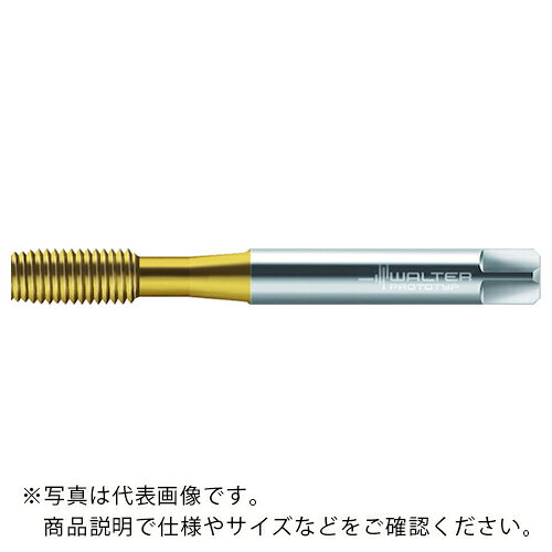 Prototyp ( ワルタージャパン ) HSS-E 転造タップ ( TC410-M1.4-C0-WY80AD ) ( BDCVR )