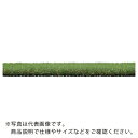 IRIS 107999 ロングパイル人工芝 2m×5m ( CT-30...(4)