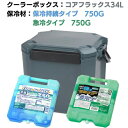 JEJアステージ クーラーボックス コアフラックス 34L&保冷剤2個無料プレゼントキャンペーン【25年5月7日~7月31日まで】 ( CRFX34+CPH-7...