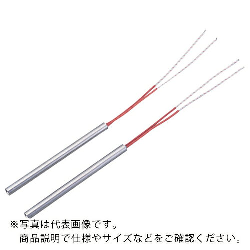 AS ( アズワン ) カートリッジヒーター CB062 ( 2-8262-12 ) 【メーカー取寄】