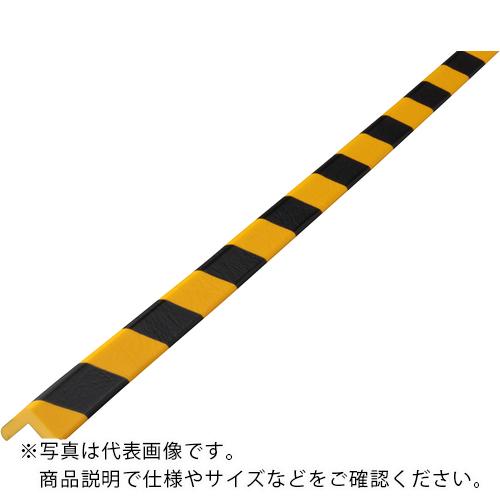 IWATA �Х�ѡ����å���� �Х�ѡ��ץ� ��/�� �ޥ��ͥå��� ( BP2-M-L1 ) (��)���������