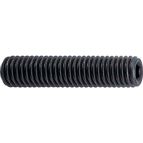 TRUSCO ( トラスコ中山 ) 六角穴付止めねじ くぼみ先 黒染め M6×12 69本入 ( B31-0...